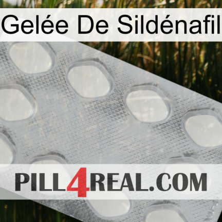 Gelée De Sildénafil 16